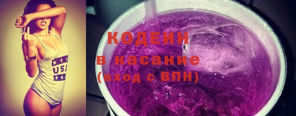 индика Баксан